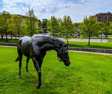 Thoroughbred Park