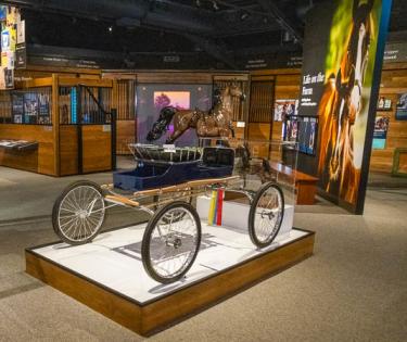American Saddlebred Museum History Wing 3