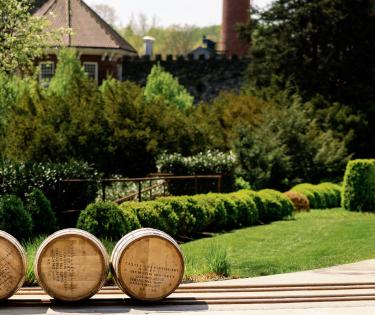 Barrels on a Distillery Grounds