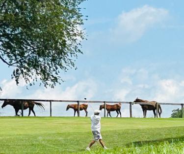 Golfing in the Heart of Horse Country