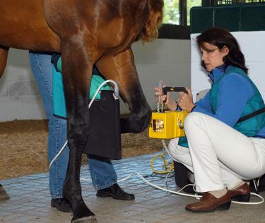 Hagyard Equine Medicine