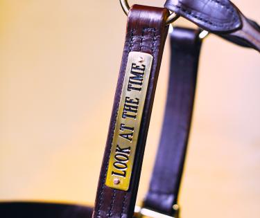 Kentucky's Number 1 Halter Shop