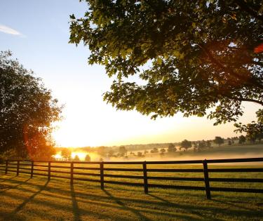 Jonabell Farm