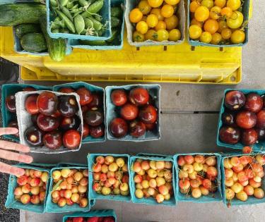 Market Veggies