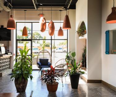 Mazunte Lounge