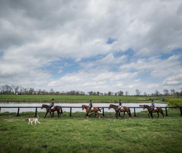 New Vocations Training