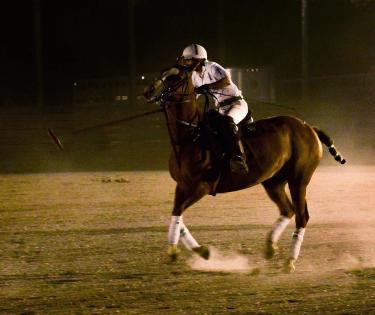 Commonwealth Polo Club