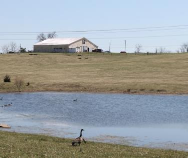 Rising Sons Home Farm Winery: Lawrenceburg, KY