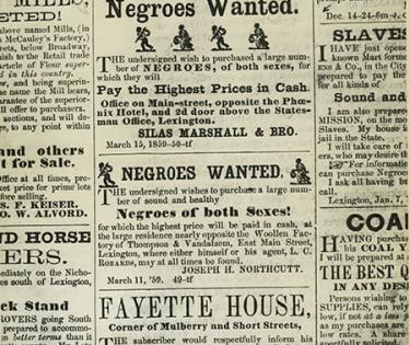 slave trade image 1