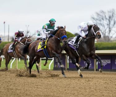 Horses race at Breeder's Cup