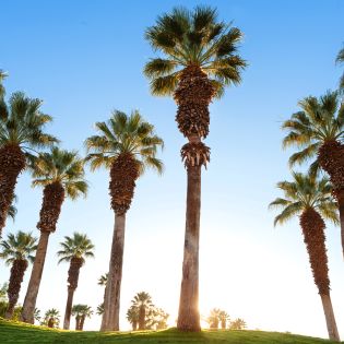 JW Marriott Desert Springs Resort & Spa