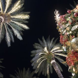 Holidays_iStock