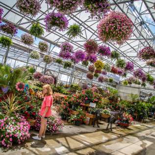 Gallrein Farms Greenhouse