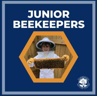 Junior Beekeepers
