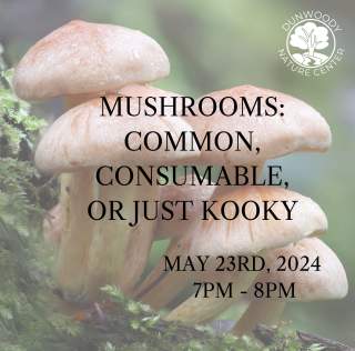 Mushrooms: Common, Consumable, or just Kooky?