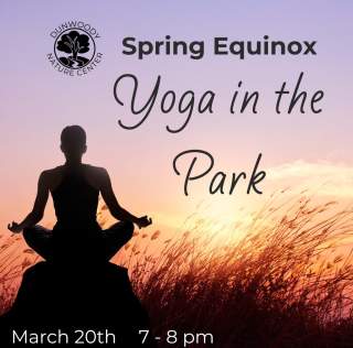 Yoga in the Park!