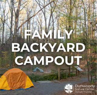 Fall Family Backyard Campout