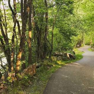 Park Trail