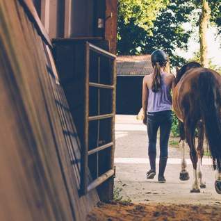 Horse-Woman-Stable