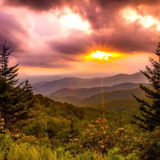 gsmnp-madison-long