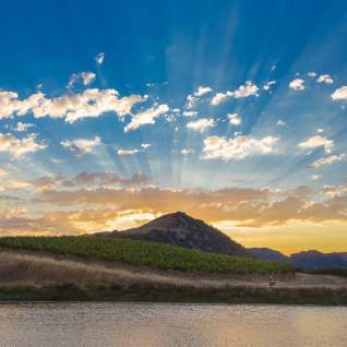 Sunrays over a mountain with a vineyard in the foreground