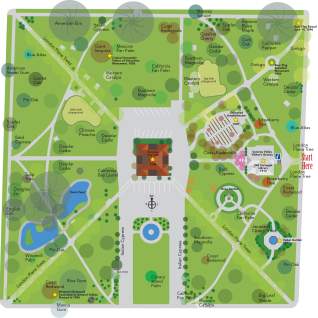 A map of the Sonoma Plaza showing all the tree types available