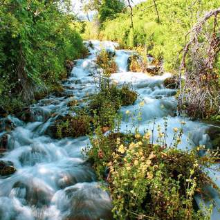 Cascade Springs