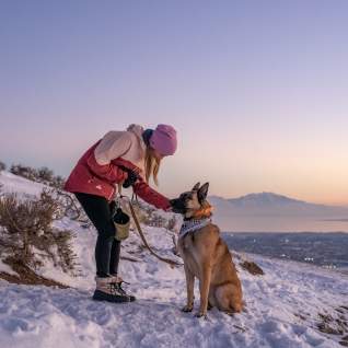 Dog Walk