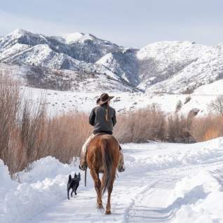 Winter Horseback Riding
