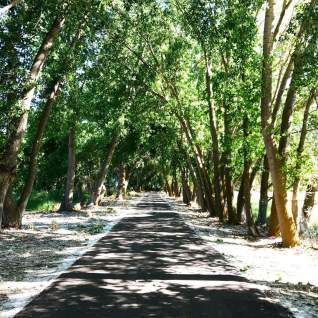 Provo River Parkway Trail