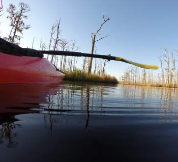 Brunswick Nature Park