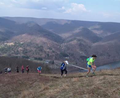 hyner1