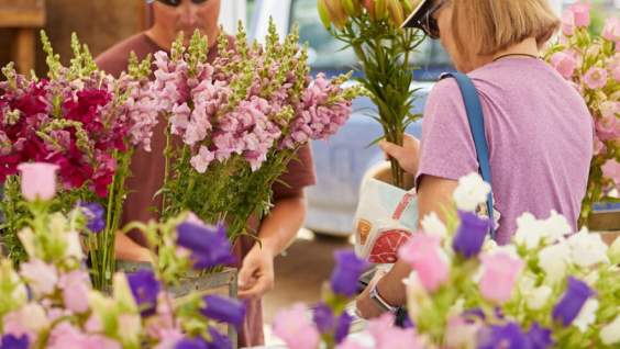 Longmont Farmers Market