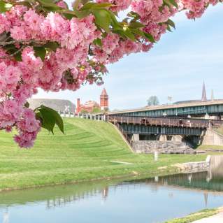 Spring Road Trip Itinerary