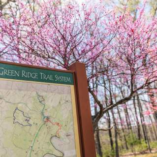 Green Ridge State Forest Trail Map - SPring Blossoms - Little Orleans MD