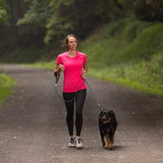 A woman in a bright pink shirt and black pants walks a black and brown, medium-sized dog on a gravel through a wooded area.