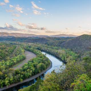 Nathaniel-Mortality-Green-Ridge-State-Forest