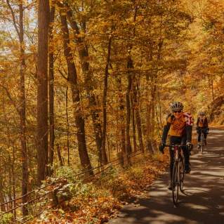 Top Fall Activities to Cross Off the List