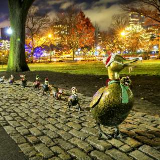 Santa Ducklings