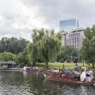 Swan Boats In Boston, MA