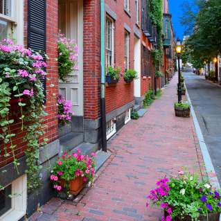 Beacon Hill Street Flowers