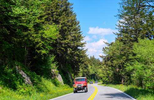 Scenic drive thru the Smokies