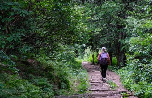 Person Hiking Down A Trail In The Great Smoky Mountains