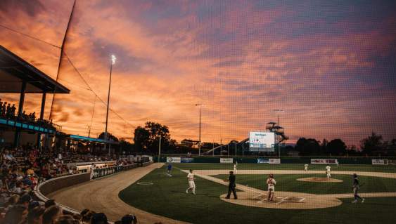 Lafayette Aviators