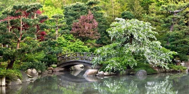 Anderson Japanese Gardens