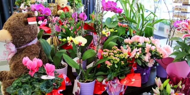 flowers at Broadway Florist