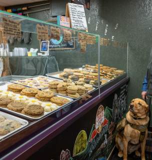 A man with a guide dog stands beside a bakery counter filled with assorted cookies. The scene conveys anticipation and warmth in a cozy setting.