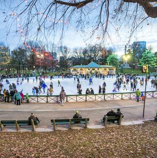 Frog Pond Ice Skating with Common Lights