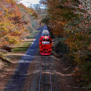 A diesel train moves passenger cars along a rail line surrounded by fall leaves.