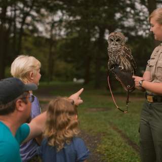 Rocky-Gap-State-Park-Aviary Owl